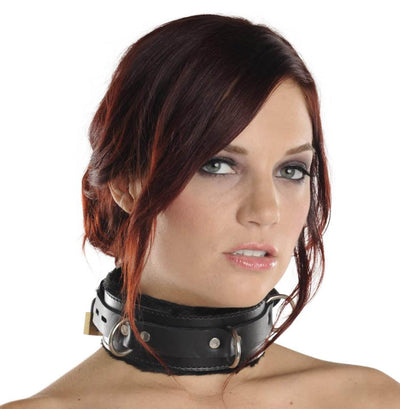 Strict Leather Premium Fur Lined Locking Collar- SM - The Dildo Hub