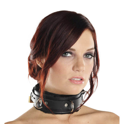 Strict Leather Premium Fur Lined Locking Collar- SM LeatherR from Strict Leather